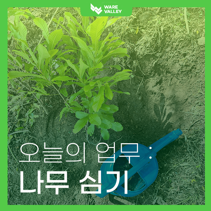 웨어밸리 X UNGC 나무심기 봉사활동