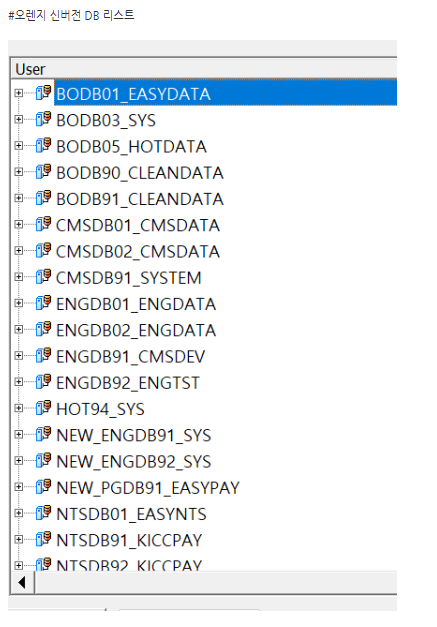오렌지 7.0 DB 리스트.png
